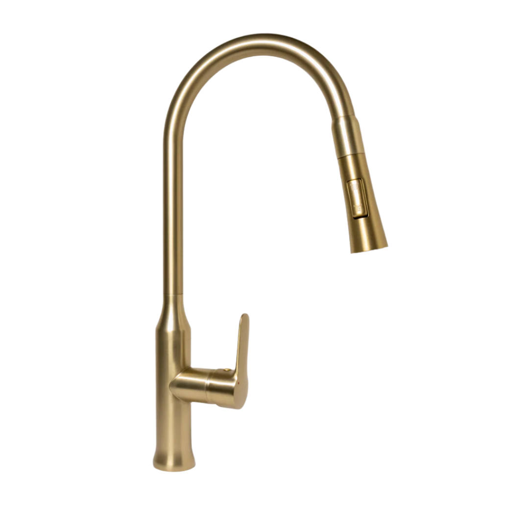 Darwin Pull-Out Kitchen Mixer - Brushed Brass